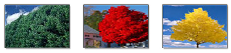 Boise, ID - Landscaping - Folkman Underground, Inc.
