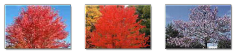Boise, ID - Landscaping - Folkman Underground, Inc.